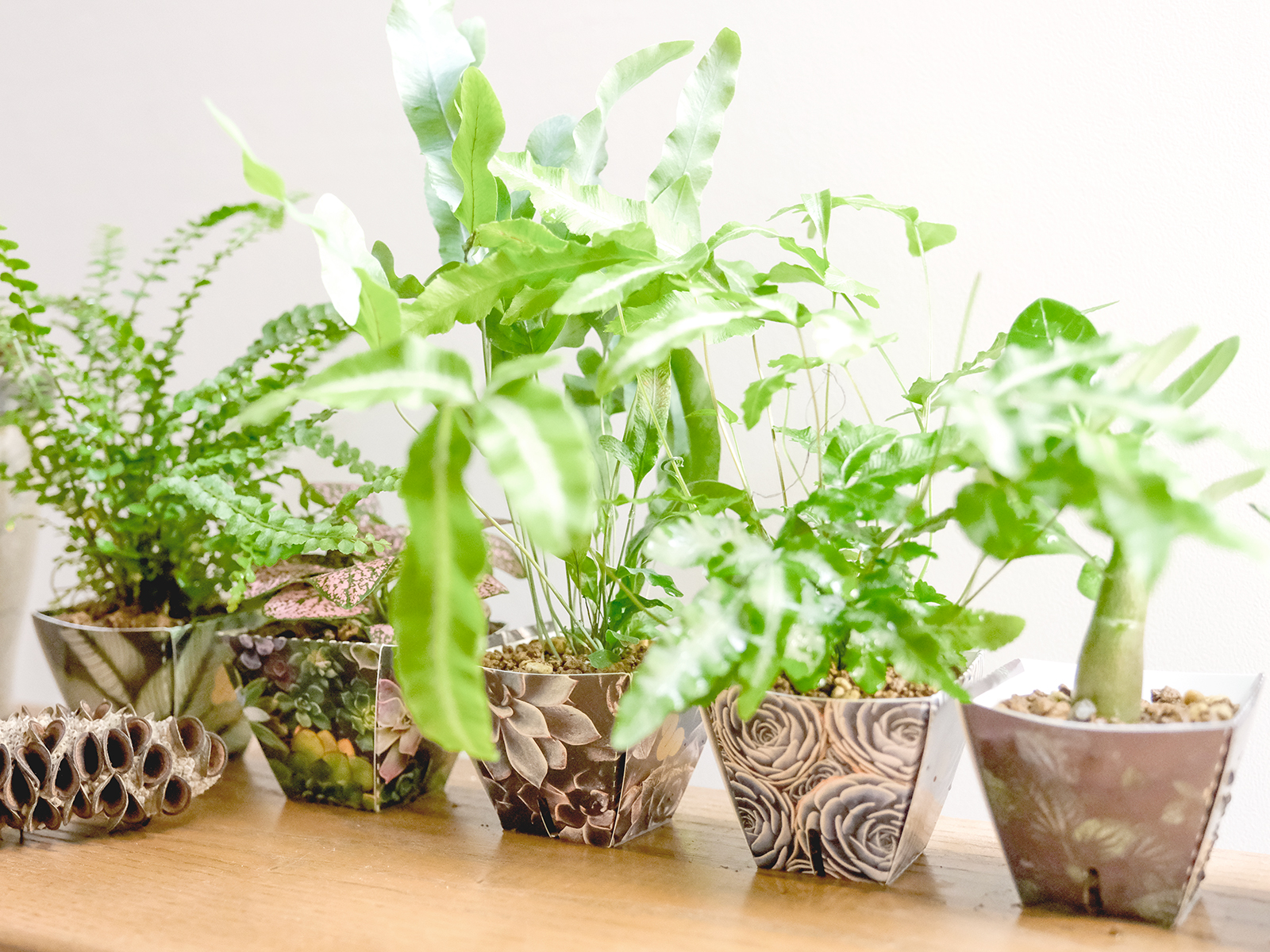 オリジナルデザイン制作